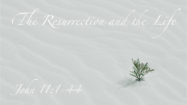 The Resurrection and the Life